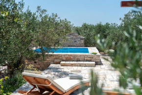 Trapula stone paradise